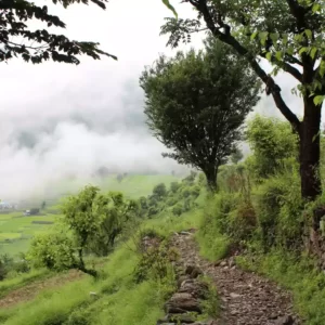 Uttarakhand Hills