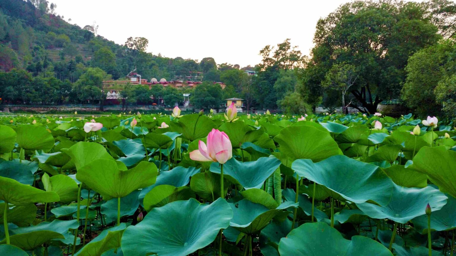 Magnificent Lakes Of Nainital