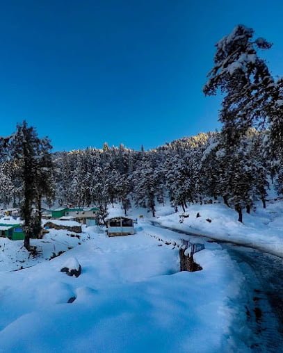 chopta view