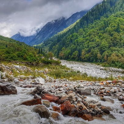 Valley of Flowers chamoli