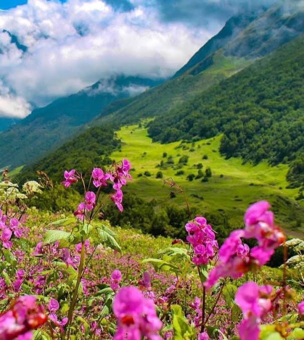 Valley of Flowers